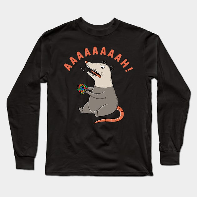 Opossum and cube Long Sleeve T-Shirt by coffeeman